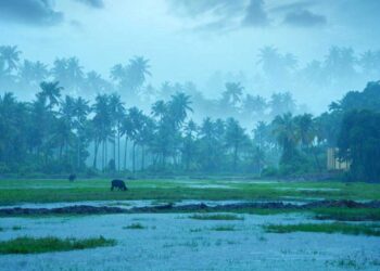 شمالی ہندوستان میں تیز ہوائوں کے بعد بارش کے آثار