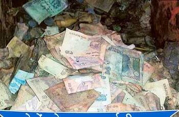 بینک لاکر میں رکھے 18لاکھ روپے دیمک کھا گئے