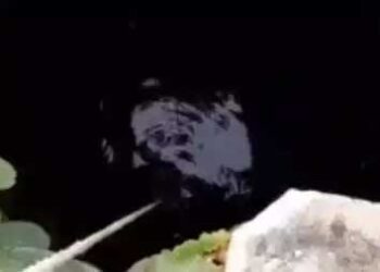 جہیزنہ ملنے پر بیوی کو کنویں میں لٹکا کر ویڈیوبنایااور اپنے سالے کو بھیج دیا