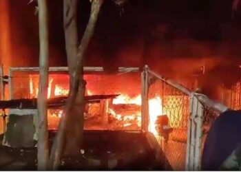 ممبئی میں عمارت میں آگ لگنے سے دو نابالغ سمیت چھ افراد کی موت