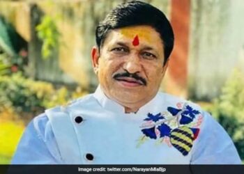 مدھیہ پردیش میں بی جے پی رکن اسمبلی نارائن ترپاٹھی کا پارٹی سے استعفیٰ