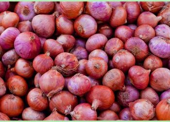 ٹماٹر کے بعد اب پیاز نے لوگوں کو رلانا شروع کر دیا