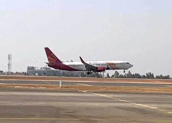 اپنے پوتے کے ساتھ سفرکر رہی خاتون کی طیارہ میں موت