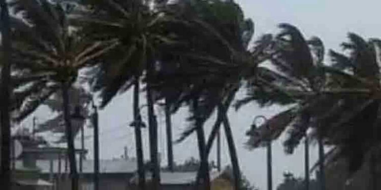 خلیج بنگال میں سمندری طوفان میچانگ کے پیش نظر پڈوچیری میں تمام اسکول بند