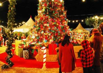 منی پور میں کرسمس کی خوشیاں مدھم رہیں