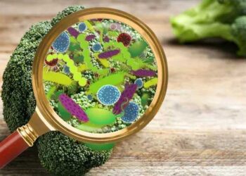 شادی کی تقریب کا کھانا کھا کر درجنوں افراد بیمار