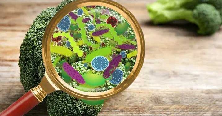 شادی کی تقریب کا کھانا کھا کر درجنوں افراد بیمار