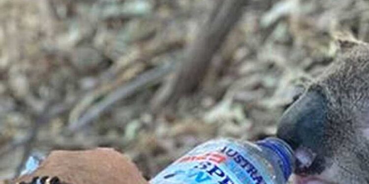 جھارکھنڈ اوراڈیشہ سمیت کئی ریاستوں میں درجہ حرارت 40 ڈگری سیلسیس سے اوپر