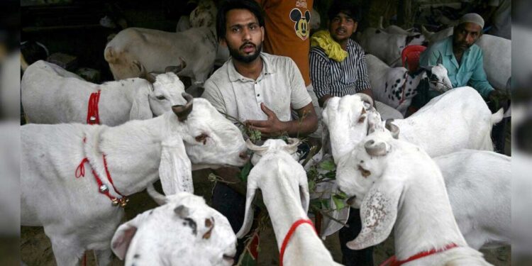 ذبیحہ کی ویڈیوسوشل میڈیا پر وائرل نہ کریں ۔ممبئی پولیس کمشنر