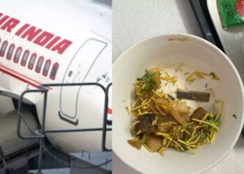 ائیر لائن ائیر انڈیا کی پرواز میں مسافر کو دیے گئے کھانے میں تیز دھار بلیڈ ملا
