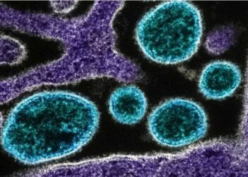 گجرات میں چاندی پورہ وائرس سے 6 افراد لقمہء اجل