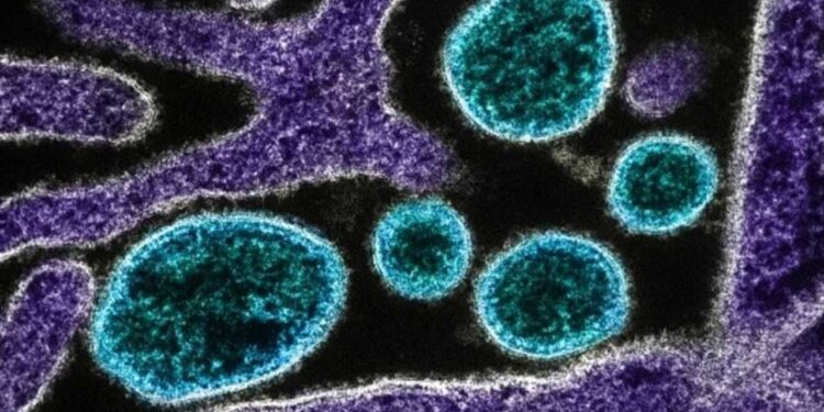 گجرات میں چاندی پورہ وائرس سے 6 افراد لقمہء اجل