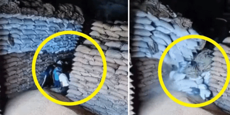 گیہوں کے تھیلے گرنے سے پانچ مزدور دب گئے، ایک کی موت