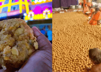 تروپتی کے لڈو میں گھٹیا سامان اور جانور کی چربی کا استعمال!