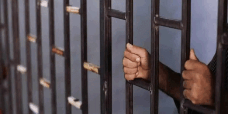 زندہ سور کا پیٹ پھاڑ کر گوشت کھانےوالاتھیٹراداکار  گرفتار