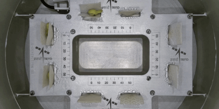 اسرو کو خلا میں بیج کو اُگانے میں بڑی کامیابی حاصل ہوئی