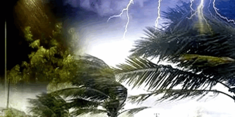 بہار میں آندھی، بارش اور بجلی گرنے سے 80 افراد ہلاک