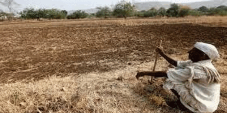 مہاراشٹر میں 3 ماہ کے دوران 767 کسانوں کی خودکشی