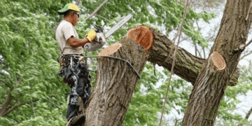 سیلاب اور لینڈ سلائڈ کو لے کر سپریم کورٹ کا سخت تبصرہ