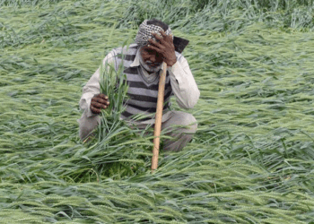 2023 میں 10 ہزار سے زیادہ کسانوں نے کی خودکشی