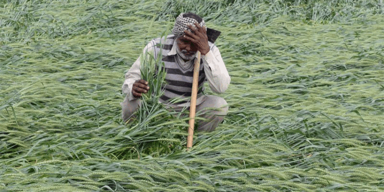 2023 میں 10 ہزار سے زیادہ کسانوں نے کی خودکشی