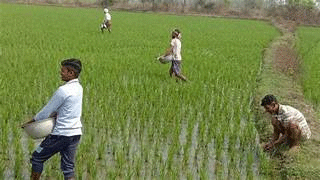 کھاد کی کالابازاری کے خلاف کارروائی، چار ہزار سے زائد لائسنس منسوخ