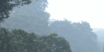 دہلی میں آلودگی کے پیش نظرسرکاری ملازمین کی حاضری 50 فیصد تک محدود