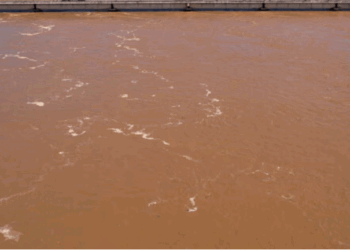 اڈیشہ میں 5 طالبات کی پانی میں ڈوبنے سے موت