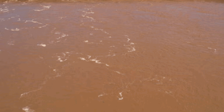 اڈیشہ میں 5 طالبات کی پانی میں ڈوبنے سے موت