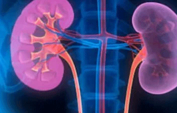 کانپور میں غیر قانونی  طریقے سے کڈنی ٹرانسپلانٹ کا پردہ فاش