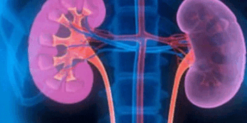 کانپور میں غیر قانونی  طریقے سے کڈنی ٹرانسپلانٹ کا پردہ فاش