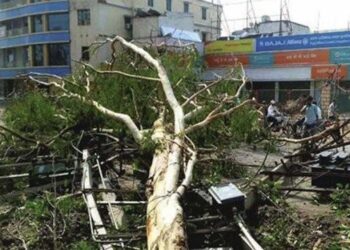 درخت اُکھڑنے اور بجلی گرنے سے 18 لوگوں کی موت