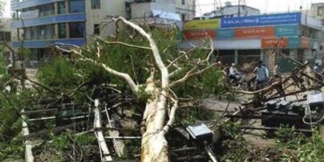 درخت اُکھڑنے اور بجلی گرنے سے 18 لوگوں کی موت