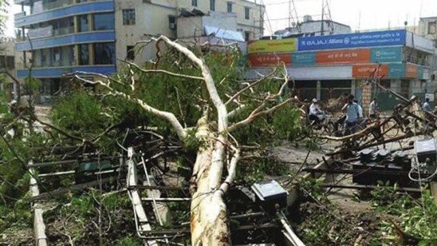 درخت اُکھڑنے اور بجلی گرنے سے 18 لوگوں کی موت