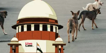 آوارہ کتوں کو شیلٹرس بھیجنے کا حکم سپریم کورٹ نے برقرار رکھا