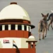 آوارہ کتوں کو شیلٹرس بھیجنے کا حکم سپریم کورٹ نے برقرار رکھا