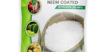 یوریا کی خرید میں 50 فیصد اضافہ