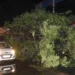 اترپردیش میں طوفان اور بارش کا قہر