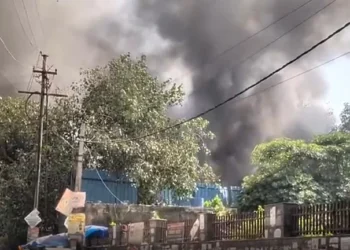 نوئیڈاسیکٹر 125 میں  آگ لگنے سے  6 دکانیں جل کر راکھ، ایک کی موت